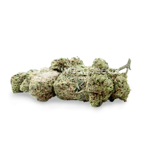Photo of Pineapple express Feminized Seeds