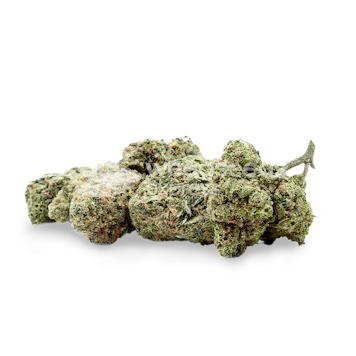 Photo of Pineapple express Feminized Seeds