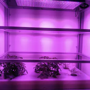 Photo of Indoor Hydroponic Plug-and-Play growing chamber - C2001-C