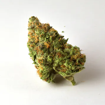 Photo of OG Kush