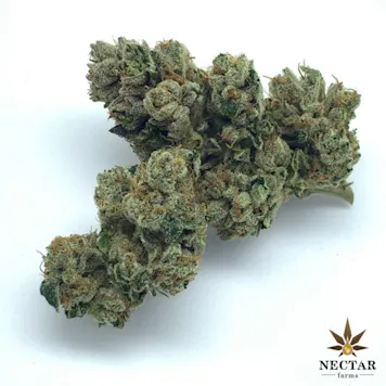 Photo of Yoda OG