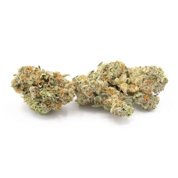 Photo of Bubble Gum Gelato