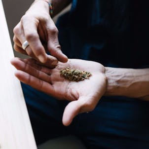 Photo of Headlight Flower