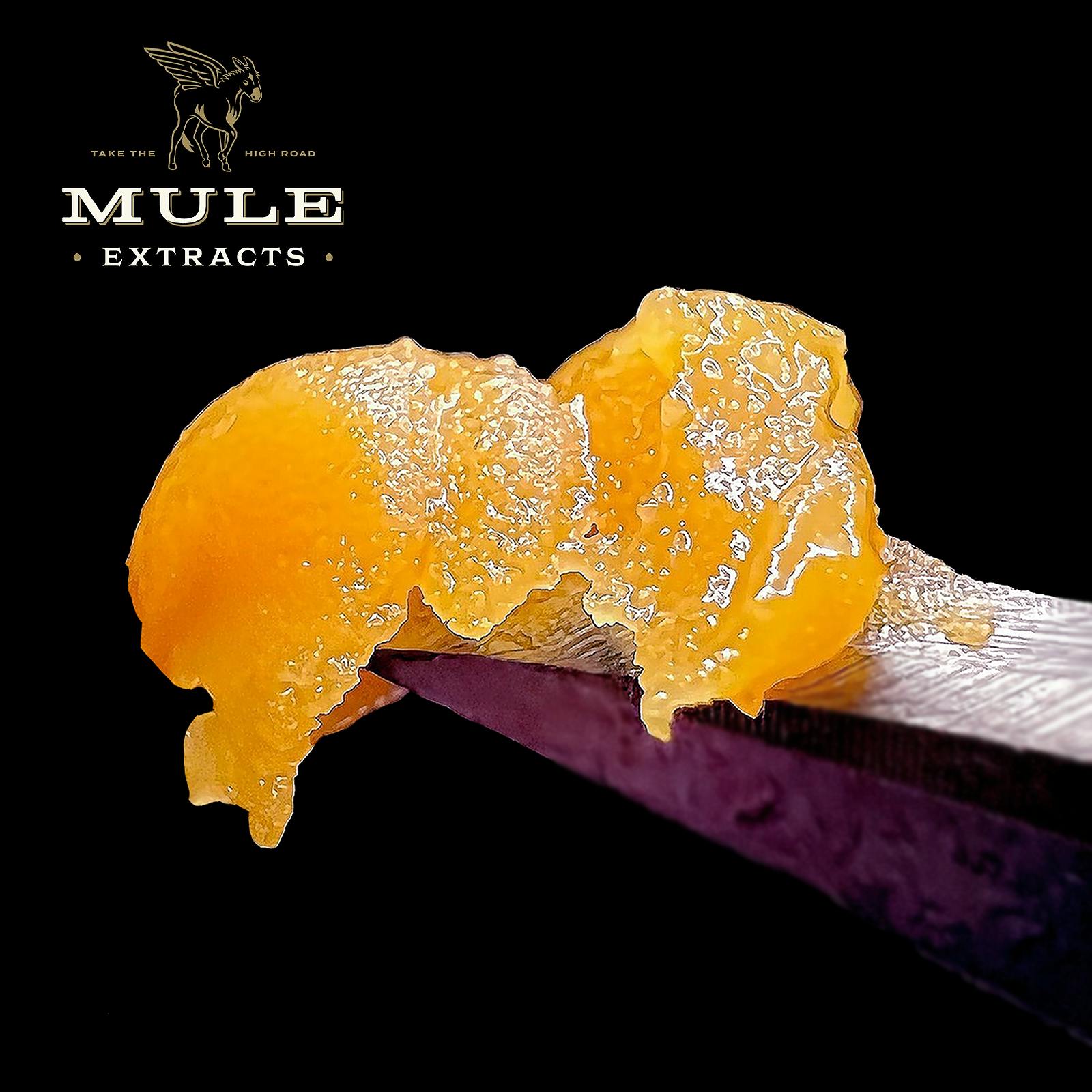 Mule Extracts 2g Cured Resin GMO Berry Indica 72.4 Leafly