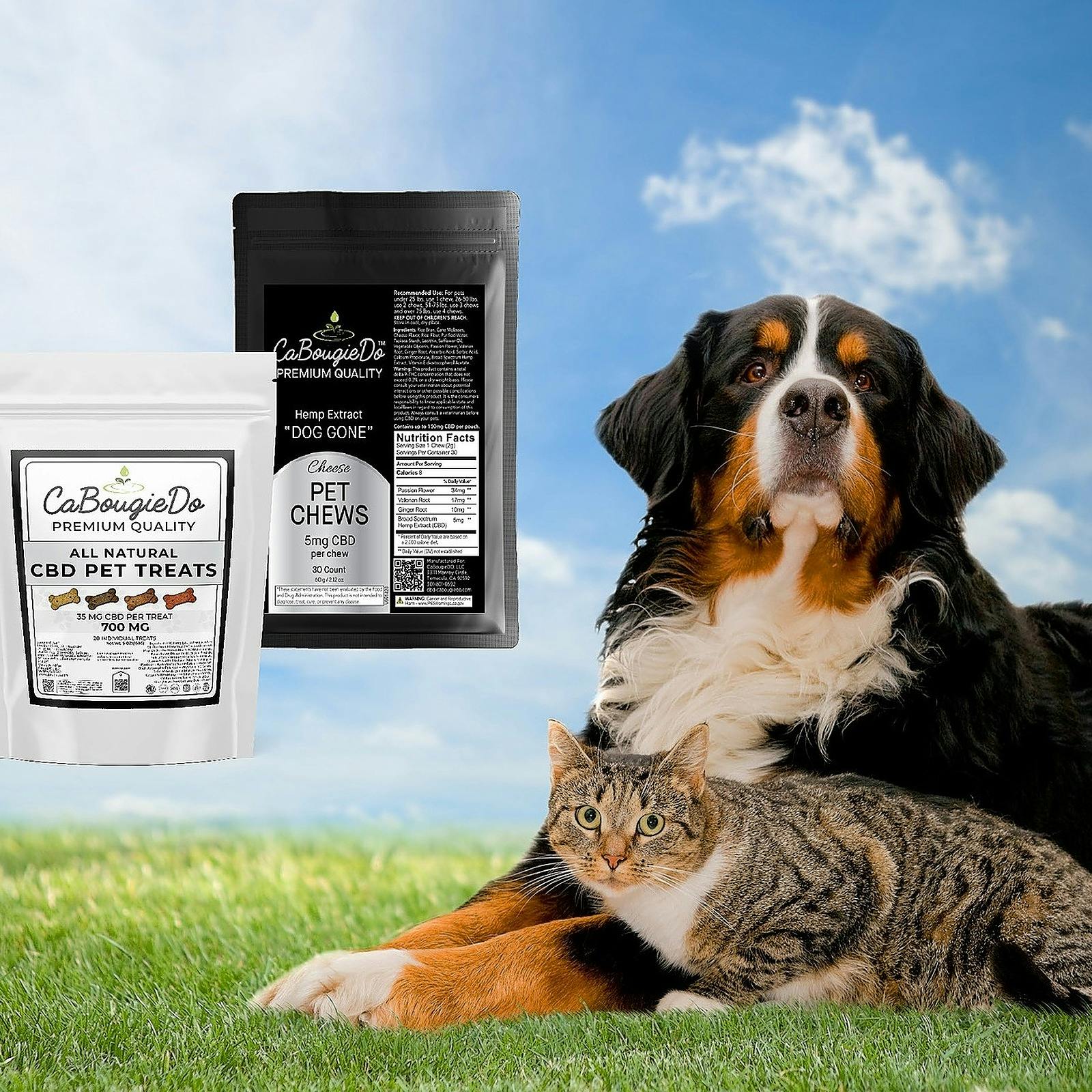 CaBougieDo LLC Pet Treats "DOG GONE" & "CAT MEOW"with 5mg CBD per chew