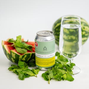 Photo of Watermelon Mint - 10 mg