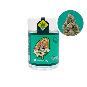 Photo of 1g Signature Flower - Tropic Honeyglue