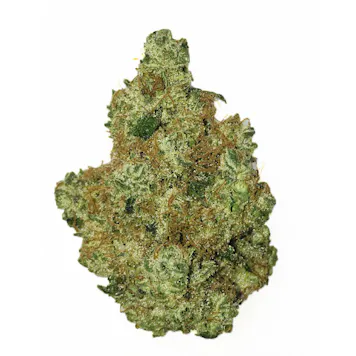 Photo of Bruce Banner