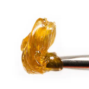 Photo of MAC1 Live Rosin Fresh Press