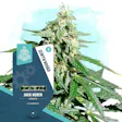 Product image for Jack Herer Automatic by Zamnesia Seeds