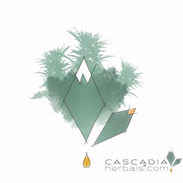 Photo of God's Gift Tincture