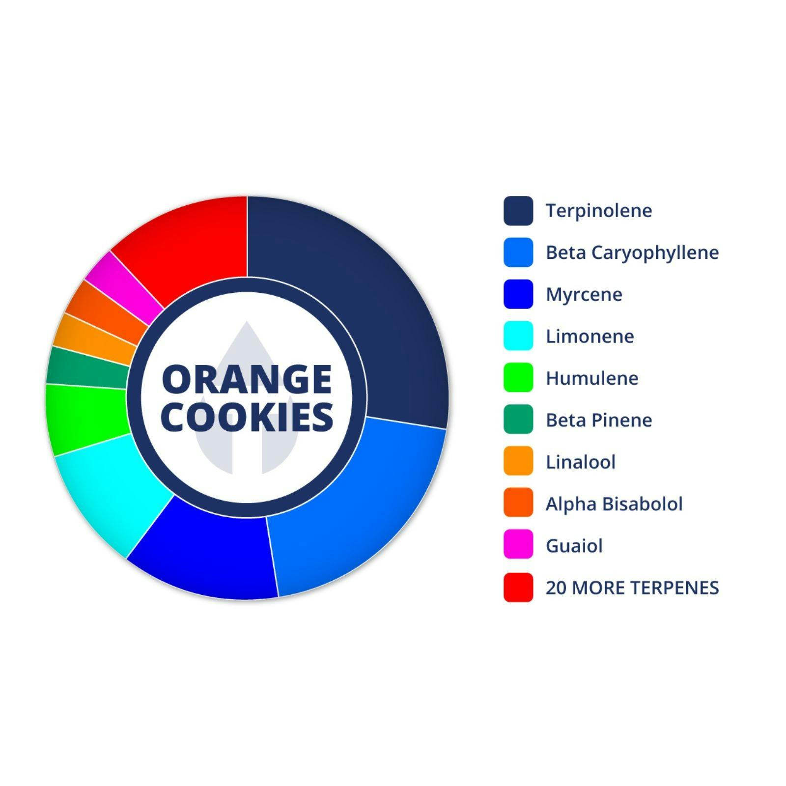 True Terpenes Orange Cookies Profile Strain Leafly