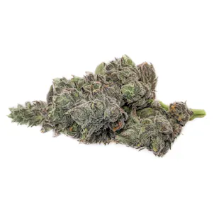 Photo of GE33 X Tropicana Cookies, 3.5g