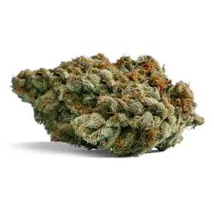 Photo of Blue Dream
