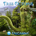 Tree Octopus