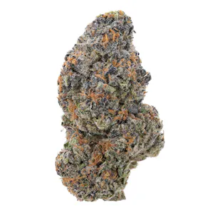 Photo of Jet Fuel Pie High THCa Hemp Flower