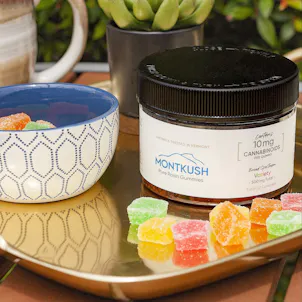 Photo of Broad Spectrum 10mg CBD Gummies 50-pack | 500mg