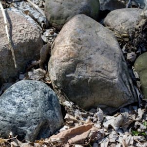 Photo of Original Stashrock™