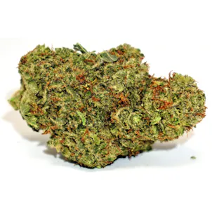 Photo of Dank Commander