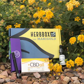 Photo of HerbBox - The Marigold Signature CBD Collection