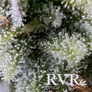 Photo of River Valley OG Kush