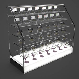 Photo of ‘Ashes’ Showcase Insert™