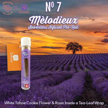 Photo of Infused No 7 Mèlodieux Pre-Roll - Indica