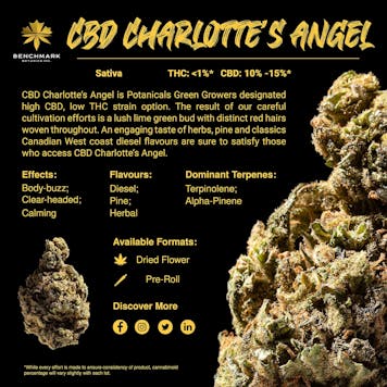 Photo of CBD Charlotte's Angel