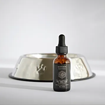 Photo of 500mg CBD and CBG Pet Tincture