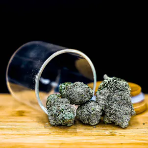 Photo of Bubba's Glue