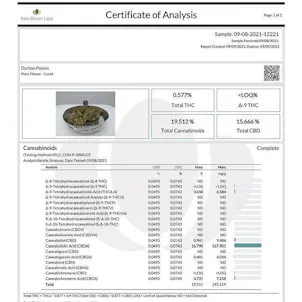 Photo of Durban Poison Indoor-Grown CBD Flower (15.6% CBD)