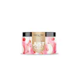 Product image for Candy Watermelon Rings 250mg