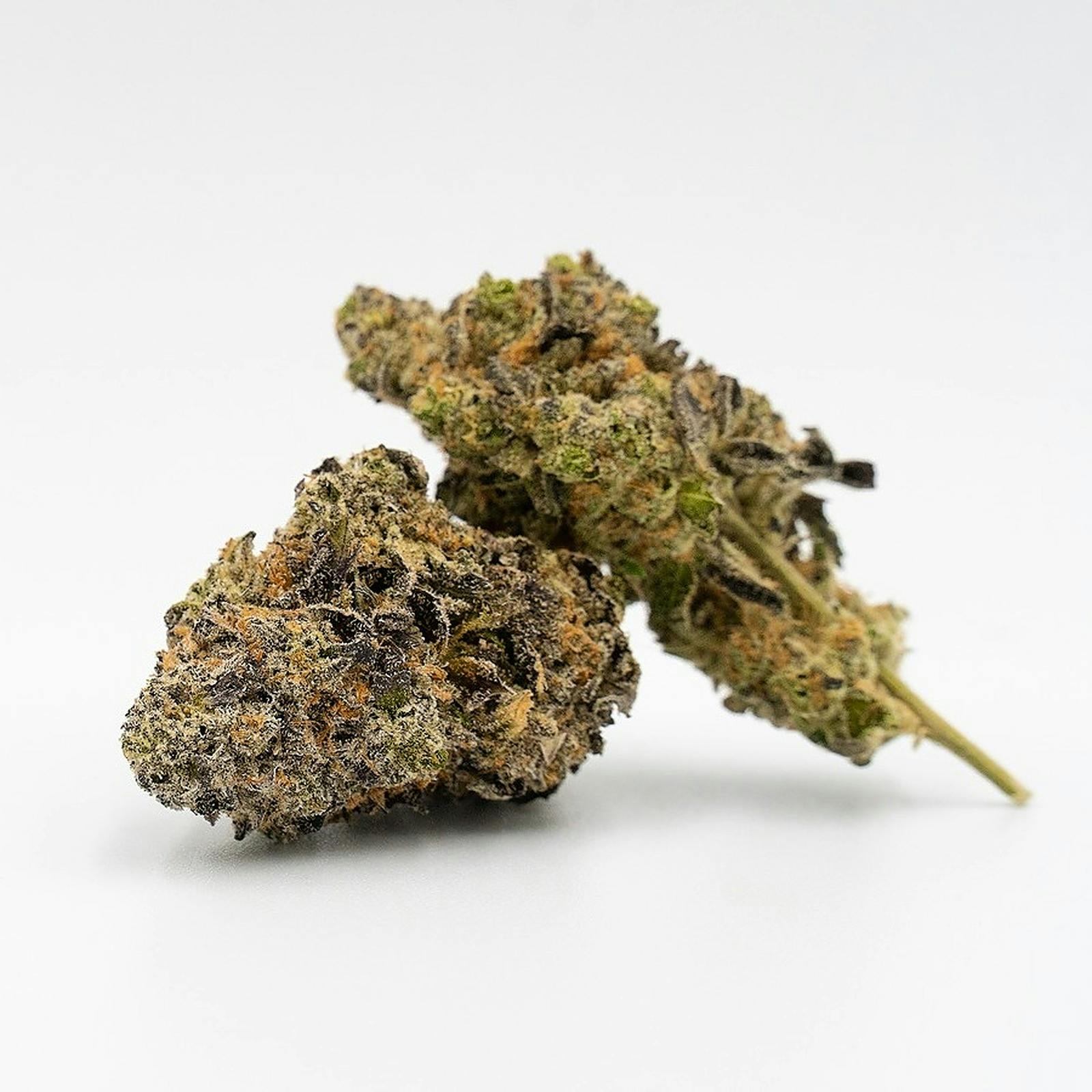 Homegrown Cannabis Co. Cake Bomb Feminized Leafly