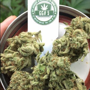 Photo of New Glue (GG5) fka Gorilla Glue 5