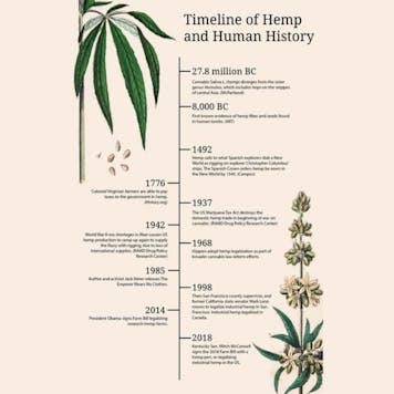 Photo of Everything Hemp for Your Health