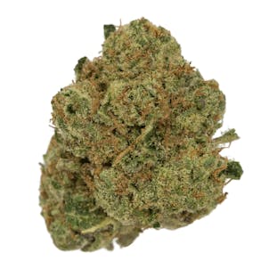 Photo of Biker Kush