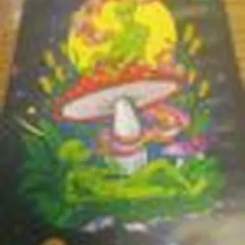 Photo of Wonderland 2022