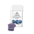 Product image for Classic Blueberry 1:1 THC/CBD