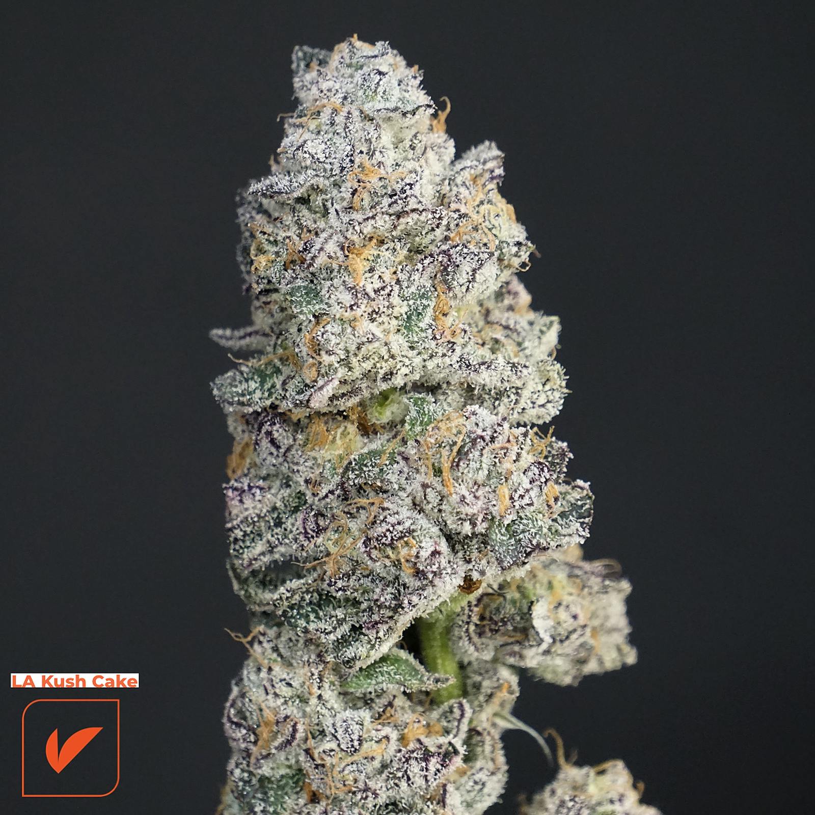 Vertical Cannabis LA Kush Cake Leafly