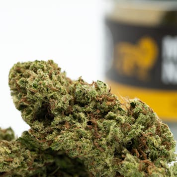 Photo of Marley Gold, Sativa: Blue Dream