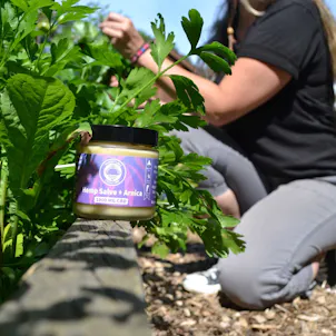 Photo of CBD Salve