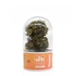 Product image for Tangie Delta 8 THC | CBG Flower 5 G