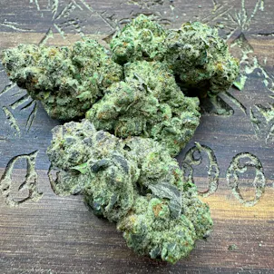 Photo of GMO Cookies THCA Flower