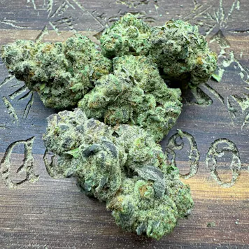Photo of GMO Cookies THCA Flower