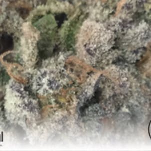 Photo of Sour Cookies