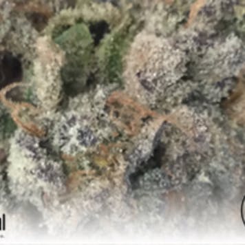 Photo of Sour Cookies