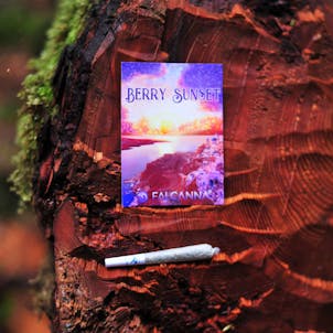 Product image for Berry Sunset Pre-Roll