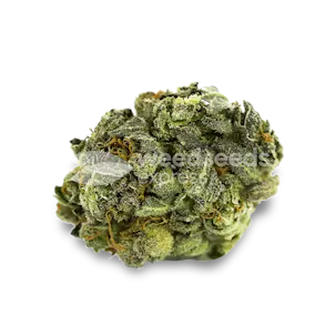 Photo of Berner's Cookies Feminized Seeds