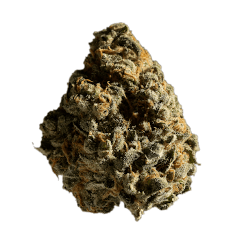 Photo of Glueberry OG