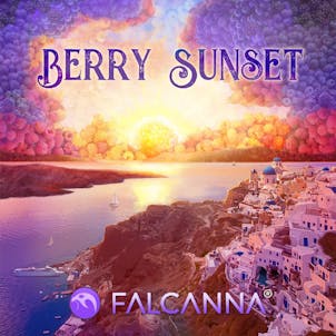 Photo of Berry Sunset